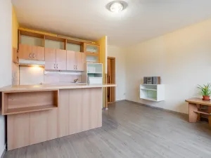 Prodej bytu 2+kk, Teplice - Trnovany, U Červeného kostela, 43 m2