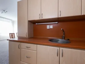 Pronájem bytu 1+kk, Teplice - Trnovany, Masarykova třída, 33 m2