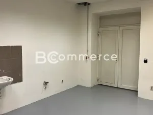Pronájem výrobních prostor, Brno, 698 m2