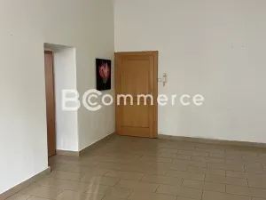 Pronájem výrobních prostor, Brno, 698 m2