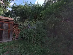 Dražba louky, Železný Brod, 377 m2
