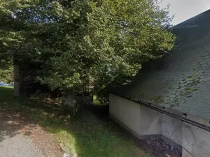 Dražba louky, Železný Brod, 377 m2