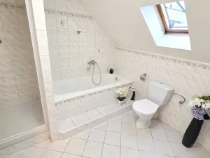 Dražba rodinného domu, Tábor, 300 m2