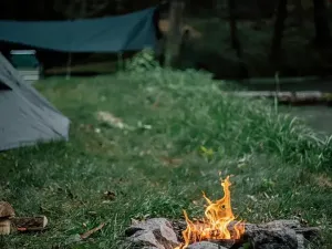 Prodej podílu zahrady, Stříbrná Skalice, 2040 m2