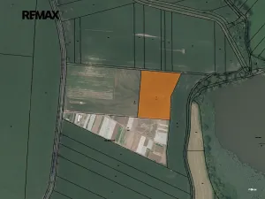 Prodej sadu/vinice, Nové Dvory, 9979 m2
