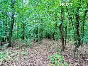 Prodej chaty, Kadaň, 48 m2
