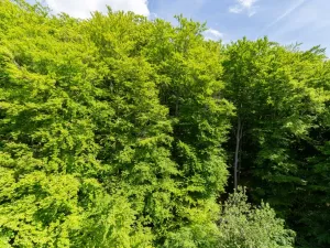 Prodej bytu 4+1, Litvínov - Janov, Luční, 90 m2