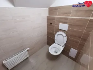 Pronájem bytu 1+1, Opava, Alšova, 45 m2