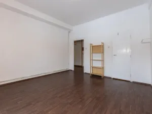 Prodej bytu 2+kk, Litvínov - Horní Litvínov, Koldům, 53 m2