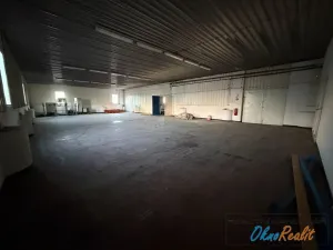 Pronájem skladu, Přerov - Přerov I-Město, Tovačovská, 200 m2
