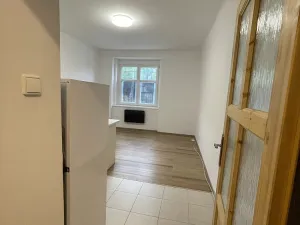 Pronájem bytu 1+kk, Praha - Michle, Michelská, 41 m2