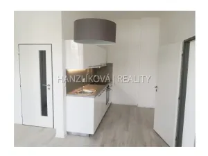 Pronájem bytu 2+kk, České Budějovice - České Budějovice 3, Fráni Šrámka, 40 m2