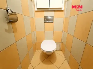 Prodej bytu 3+1, Orlová - Lutyně, Topolová, 69 m2