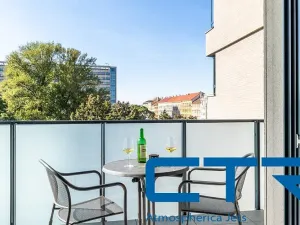 Pronájem bytu 1+kk, Praha - Žižkov, Seifertova, 32 m2