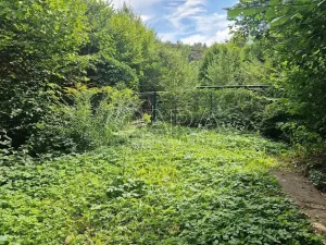 Prodej chaty, Černolice, V Dolečku, 38 m2
