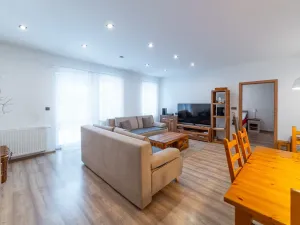 Prodej ubytování, Staré Město, Hynčice pod Sušinou, 417 m2