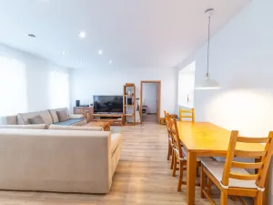 Prodej ubytování, Staré Město, Hynčice pod Sušinou, 417 m2