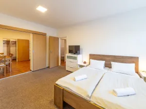 Prodej ubytování, Staré Město, Hynčice pod Sušinou, 417 m2