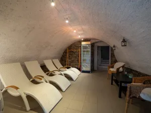 Prodej ubytování, Staré Město, Hynčice pod Sušinou, 417 m2