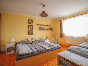 Prodej zemědělské usedlosti, Plánice - Štipoklasy, 1300 m2