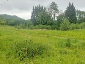 Pronájem ubytování, Písařov - Bukovice, 520 m2