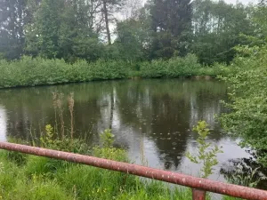 Pronájem ubytování, Písařov - Bukovice, 520 m2