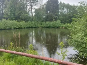 Pronájem ubytování, Písařov - Bukovice, 520 m2