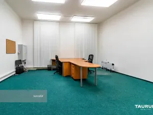 Pronájem kanceláře, Plzeň - Jižní Předměstí, Palackého, 39 m2