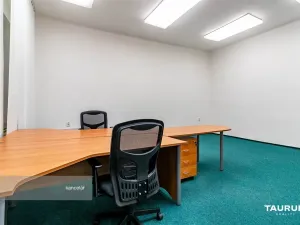 Pronájem kanceláře, Plzeň - Jižní Předměstí, Palackého, 39 m2