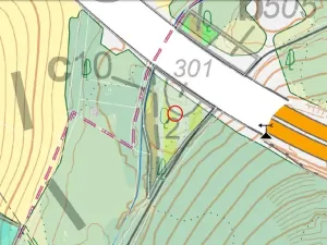 Prodej lesa, Hrabyně, 2404 m2