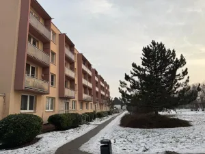Pronájem bytu 2+1, Židlochovice, 56 m2