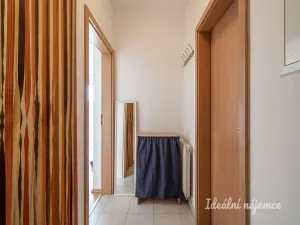 Pronájem bytu 1+kk, Praha - Libeň, Davídkova, 34 m2