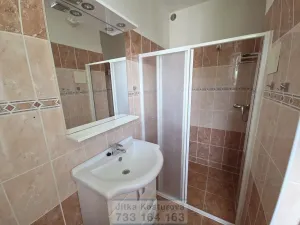 Pronájem bytu 2+1, Opava - Předměstí, Sadová, 62 m2