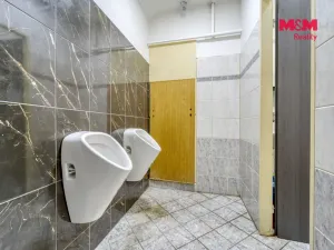Pronájem obchodního prostoru, Stříbro, Žižkova, 89 m2