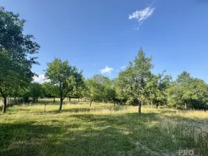 Prodej ubytování, Vanovice, 450 m2