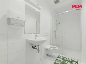 Prodej obchodního prostoru, Ostrava - Vítkovice, Kořenského, 374 m2