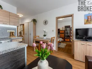 Prodej bytu 1+1, Pelhřimov, Dolnokubínská, 37 m2
