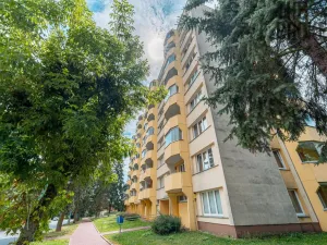 Prodej bytu 1+1, Pelhřimov, Dolnokubínská, 37 m2