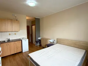 Pronájem bytu 1+kk, Cheb, Do Zátiší, 20 m2