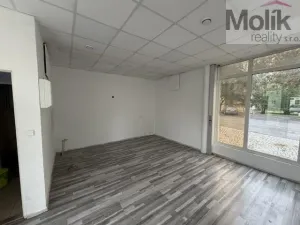 Pronájem obchodního prostoru, Most, Víta Nejedlého, 29 m2