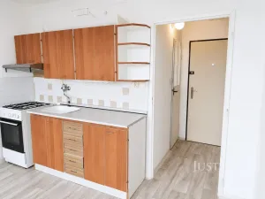 Pronájem bytu 1+1, Písek, třída Přátelství, 38 m2