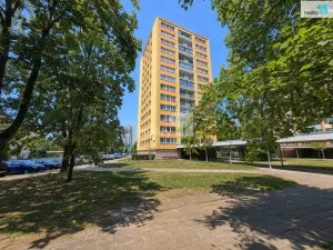 Prodej bytu 1+kk, Hradec Králové - Pražské Předměstí, Gebauerova, 37 m2