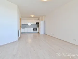 Pronájem bytu 1+kk, Brno, Bělohorská, 38 m2
