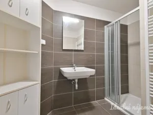 Pronájem bytu 1+kk, Brno, Bělohorská, 38 m2