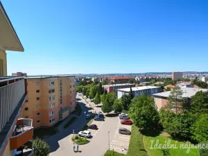 Pronájem bytu 1+kk, Brno, Bělohorská, 38 m2