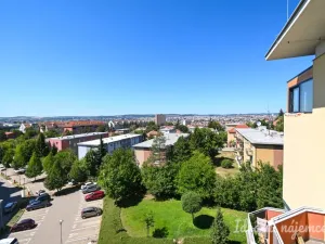 Pronájem bytu 1+kk, Brno, Bělohorská, 38 m2