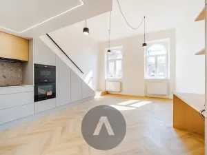 Pronájem bytu 1+kk, Brno, Drobného, 47 m2