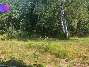 Prodej chaty, Velká Lhota, 54 m2