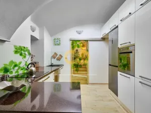 Prodej rodinného domu, Bušanovice - Horní Nakvasovice, 300 m2