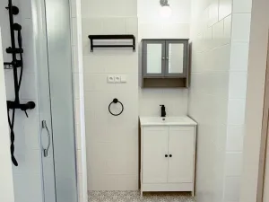 Pronájem bytu 2+1, Dobřany, Stromořadí, 60 m2